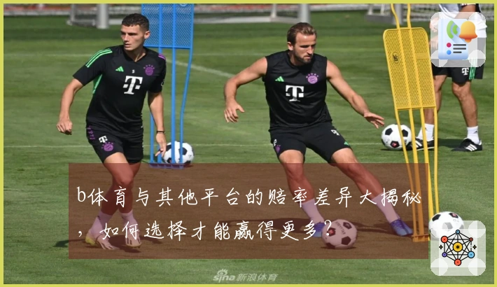 b体育与其他平台的赔率差异大揭秘，如何选择才能赢得更多？